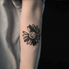 Daisies Temporary Tattoo Sticker, Waterproof Magic Tattoo, Lasts to 15 Days Fake Tattoo, Semi Permanent Tattoo.