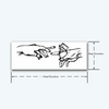 Friendship Precious Temporary Tattoo | Waterproof | Lasts Up to 15 Days | Semi-Permanent
