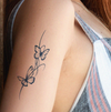 Double Butterfly Temporary Tattoo Stickers | Magic Tattoos | Herbal Juice | Lasts 1-2 Weeks | Realistic Fake Tattoos