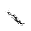 Centipede Temporary Tattoo Sticker | Waterproof | Lasts up to 15 Days | Semi-Permanent Look