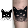 Cat Temporary Tattoo Sticker | Waterproof Magic Tattoo | Lasts up to 15 Days | Semi Permanent Fake Tattoo
