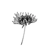 Equinox Flower Temporary Tattoo | Lasting 1-2 Weeks | Water & Sweat Proof | Ultra-Detailed Magic Tattoo Stickers