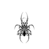 Skeleton Spider Temporary Tattoo | Waterproof & Long-Lasting | Ultra-Detailed Design | 15-Day Wear