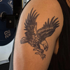 Eagle Temporary Tattoo Sticker | Waterproof | Lasts up to 15 Days | Semi-Permanent