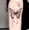 Butterfly Temporary Tattoo Stickers | Magic Tattoos | Herbal Juice Tattoos | Lasts 1-2 Weeks | Realistic Fake Tattoos