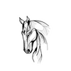 Horse Temporary Tattoo Sticker | Waterproof | Lasts up to 15 Days | Semi-Permanent
