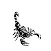 Scorpion Temporary Tattoo Sticker | Waterproof | Lasts up to 15 Days | Semi-Permanent