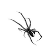 Spider Temporary Tattoo Sticker | Waterproof | Lasts up to 15 Days | Ultra-Detailed Design | Quick Application