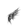 Wing Temporary Tattoo Sticker | Waterproof | Lasts up to 15 Days | Semi-Permanent | Feather Design