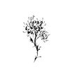 Flowers of the Other Shore | Temporary Tattoo Sticker | Waterproof | Lasts up to 15 Days | Semi-Permanent