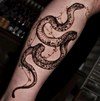 Snake Temporary Tattoo Sticker | Waterproof | Lasts 15 Days | Semi Permanent