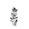 Anime Temporary Tattoo Sticker | Waterproof 15-Day Magic Tattoo | Semi-Permanent Ink