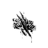 Tiger Eye Scratch Temporary Tattoo Sticker, Waterproof Magic Tattoo, Lasts to 15 Days Fake Tattoo, Semi Permanent Tattoo