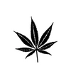 Maple Leaves Temporary Tattoo Sticker | Waterproof | Lasts up to 15 Days | Semi Permanent
