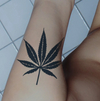 Maple Leaves Temporary Tattoo Sticker | Waterproof | Lasts up to 15 Days | Semi Permanent