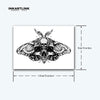 Skull Moth Temporary Tattoo | Lasts 1-2 Weeks | Realistic & Water Resistant